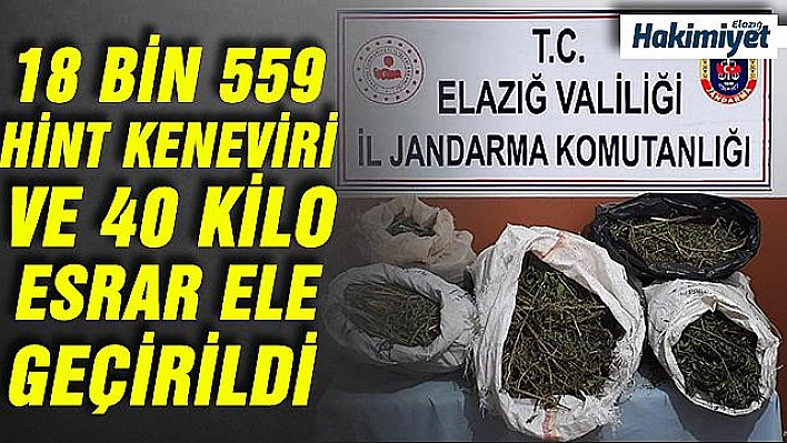 2 bin rakımda uyuşturucu tarlasına operasyon