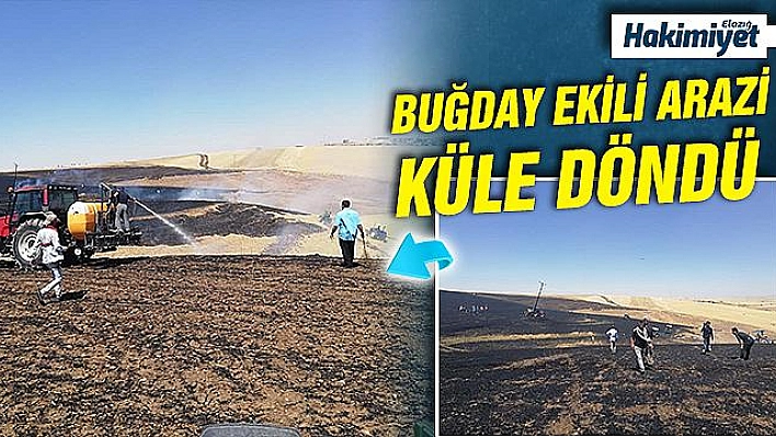 75 dönümlük buğday tarlası kül oldu