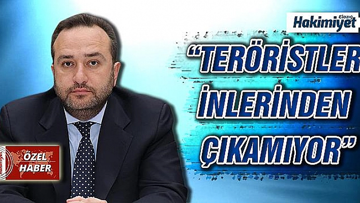 AĞAR: 'TSK, TERÖRİSTLERİ İNLERİNDE FARE GİBİ AVLIYOR'