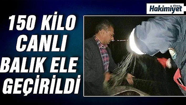 Elazığ'da 2 tekne ile kaçak balık avına çıkan 3 kişi yakalandı