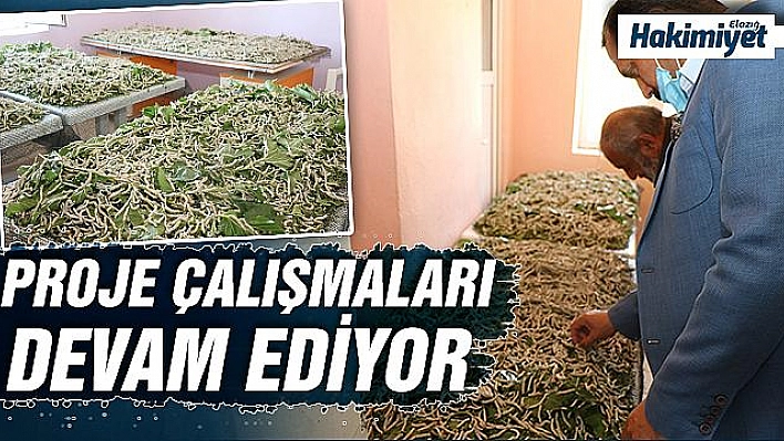 Elazığ'da 'İpekböceği Yetiştiriciliği' projesi