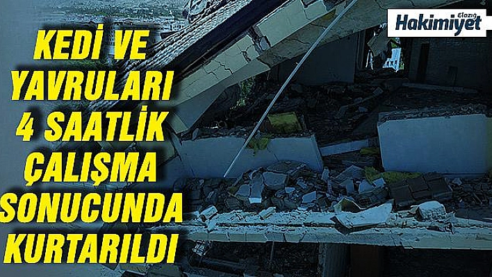 Elazığ'da yıkımı durduran kediler 4 saat sonra kurtarıldı