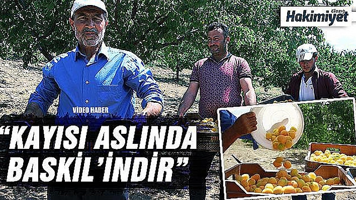 Kendi bile inanmamıştı, şimdi herkesten önce hasat yapıyor