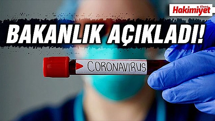 Sağlık Bakanlığı normalleşme sürecinde alınacak tedbirleri açıkladı