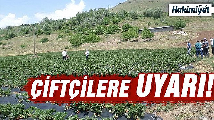 Kavurucu sıcaklarda çiftçilere önemli uyarı