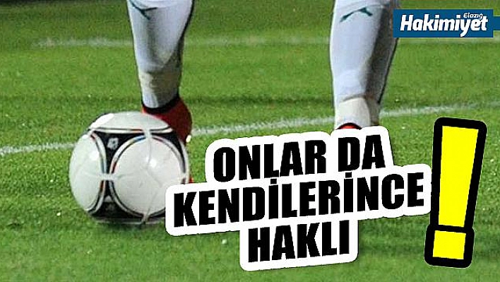 16 şehir takımı TFF 3. Lig'e!