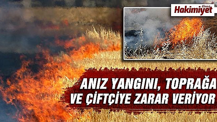 ANIZ YANGINLARI BÜYÜK ZARAR VERİYOR