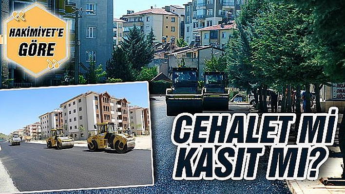 CEHALET Mİ KASIT MI?