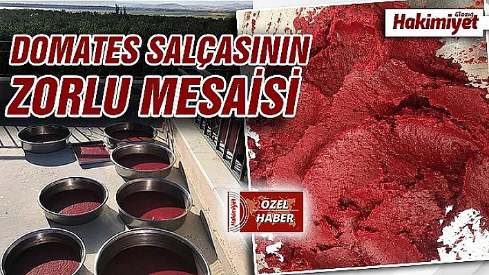 Domates salçasının sofralara yolculuğu başladı