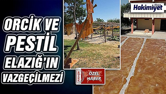 ELAZIĞ'DA PESTİL YAPIMI BAŞLADI