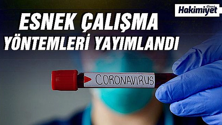 Kamu kuruluşlarında esnek çalışma yöntemleri Resmi Gazetede