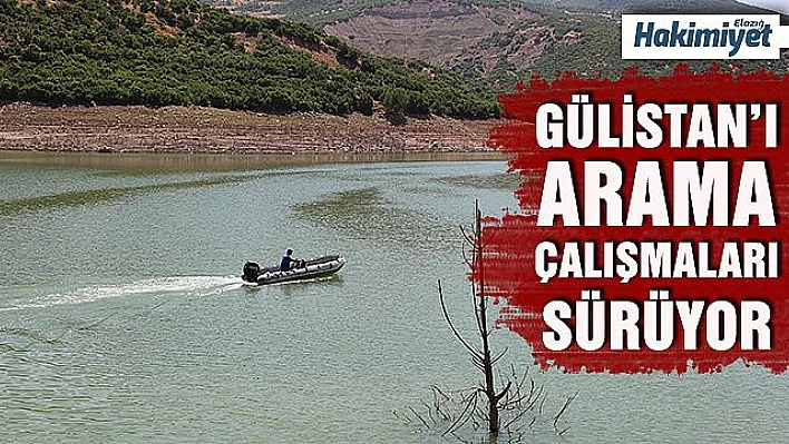 Kayıp Gülistan'ı arama çalışmaları sürüyor