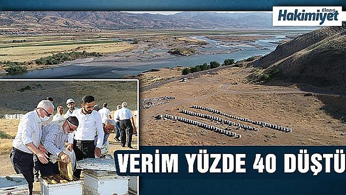 TAB Başkanı Şahin: 'Geven balı Türkiye'nin Avrupa'ya açılan penceresi olacaktır'