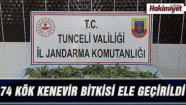 Tunceli'de uyuşturucuyla mücadele sürüyor