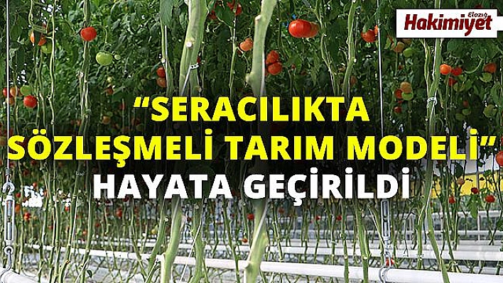 2 bin çiftçi ile 6 milyon metrekare alanda 250 bin ton üretim