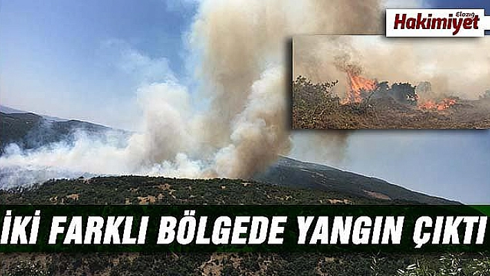 2 bölgede orman yangını çıktı