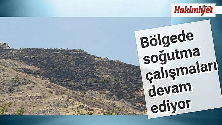 Elazığ'daki orman yangını söndürüldü