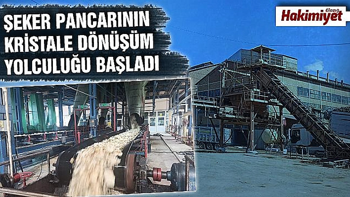 ELAZIĞ VE ADIYAMAN'DAN  GETİRİLEN ŞEKER PANCARLARI ZORLU  BİR YOLCULUĞUN ARDINDAN SOFRALARI TATLANDIRIYOR