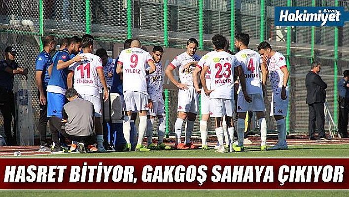 Elazığspor, 245 gün sonra maça çıkacak