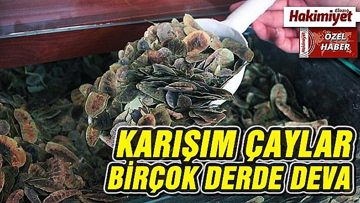 Havalar Soğurken, Bağışıklık Sisteminizi Bitki Çayı İle Koruyun!