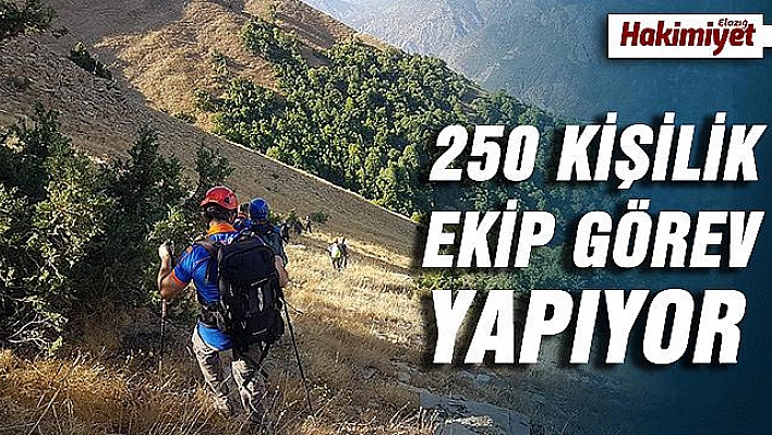 Kayıp kardeşler, 250 kişilik ekiple aranıyor