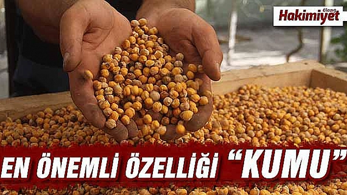 Nohudun meşe ateşinde başlayan yolculuğu 