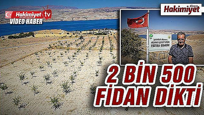 Şehit oğlunun anısına, 2 bin 500 fidanla orman oluşturdu