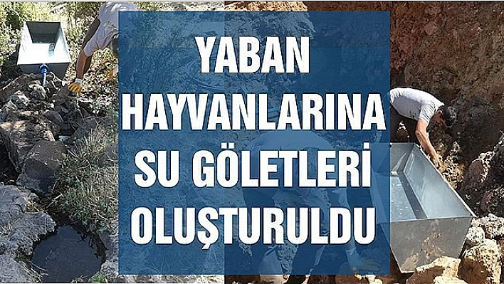 TUNCELİ'DE YABAN HAYVANLARI İÇİN SU GÖLETLERİ