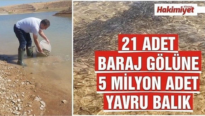 21 Adet Baraj Gölüne 5 Milyon Adet Yavru Balık Bırakılacak