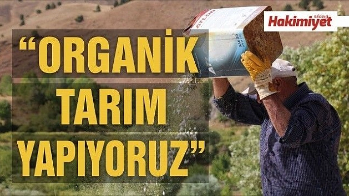 Ata tohumlarıyla üretilen kuru fasulye, rüzgar çağrılarak ayıklanıyor