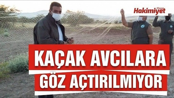  Elazığ'da ağla kurulu av düzeneği ele geçirildi