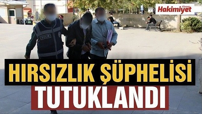 Elazığ'da hırsızlık şüphelisi tutuklandı