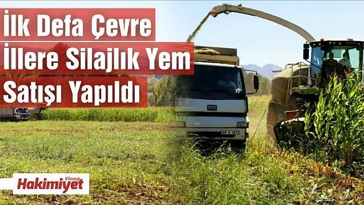 İlk defa çevre illere silajlık yem satışı yapıldı