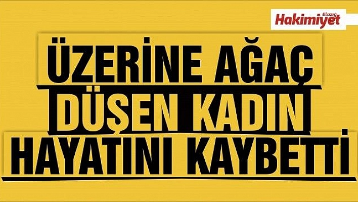 Kesilen ağacın üzerine devrildiği yaşlı kadın öldü