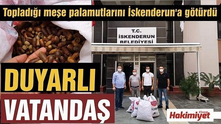 Topladığı meşe palamutlarını İskenderun'a götürdü