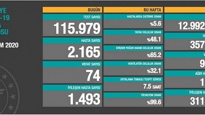 Toplam can kaybı 9 bin 584 oldu