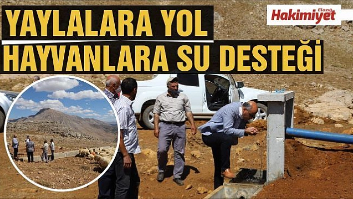 Tunceli'de yaylalara yol ve hayvanlara su desteği