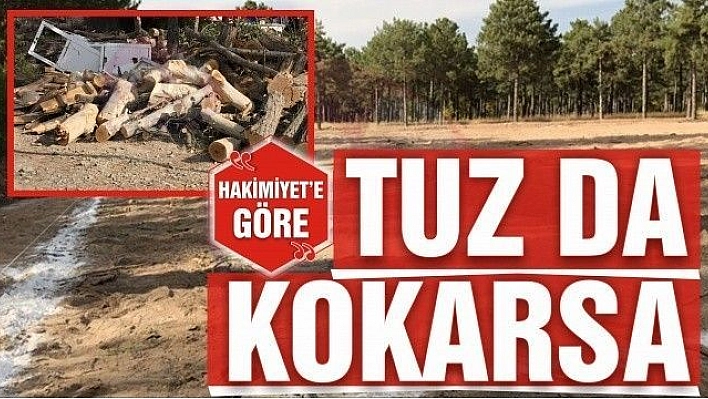 TUZ DA KOKARSA