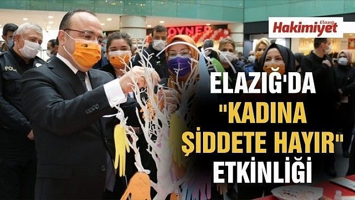 Elazığ'da 'Kadına Şiddete Hayır' etkinliği