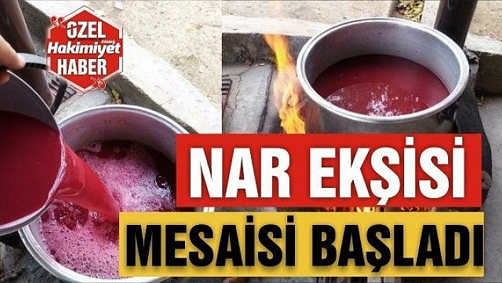 KADINLARIN NAR EKŞİSİ MESAİSİ BAŞLADI 