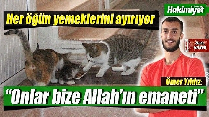 Ömer Yıldız'ın, sokak hayvanları hassasiyeti