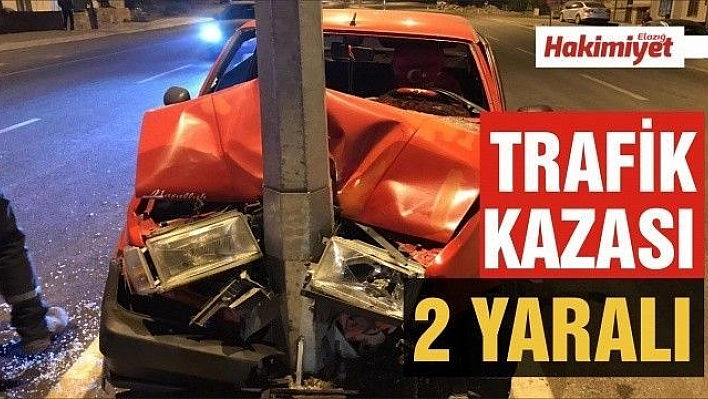 Otomobil direğe çarptı: 2 yaralı