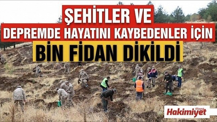 ŞEHİT GÜVENLİK GÜÇLERİ İLE DEPREMDE HAYATINI KAYBEDENLERİN ANISINA 1000 FİDAN DİKİLDİ