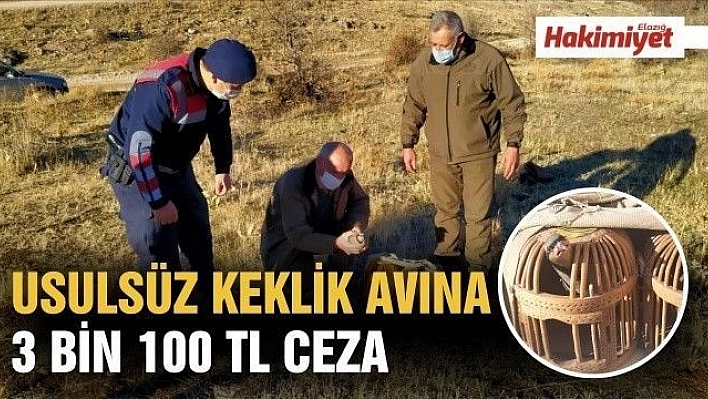 Usulsüz keklik avına 3 bin 100 TL ceza