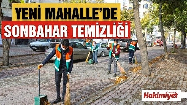 Yeni Mahalle'de Sonbahar Temizliği