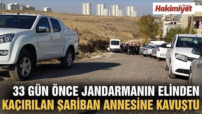  33 gün önce jandarmanın elinden kaçırılan Şariban annesine kavuştu