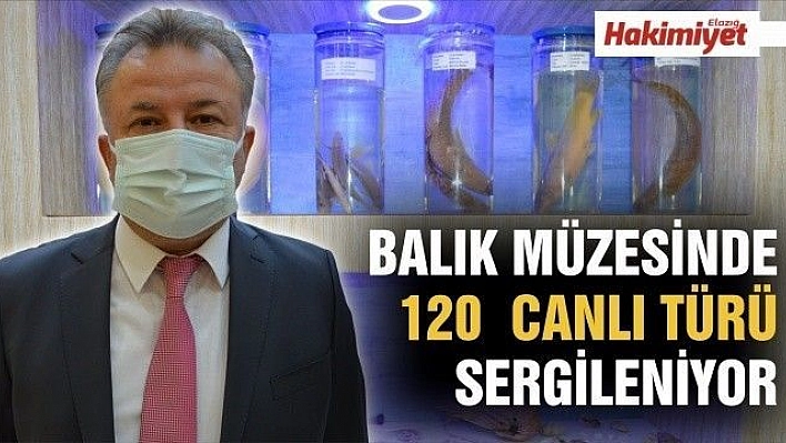 BALIK MÜZESİNDE 120  CANLI TÜRÜ SERGİLENİYOR 