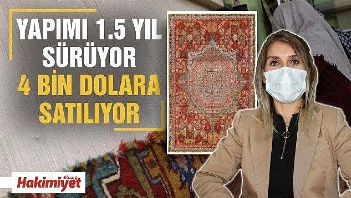 Çekirdekten başladığı işinde 3'üncü şubesini açtı, 50 kadına istihdam sağladı