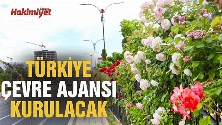 Çevre Ajansı'nın kurulmasına ilişkin teklif kabul edildi