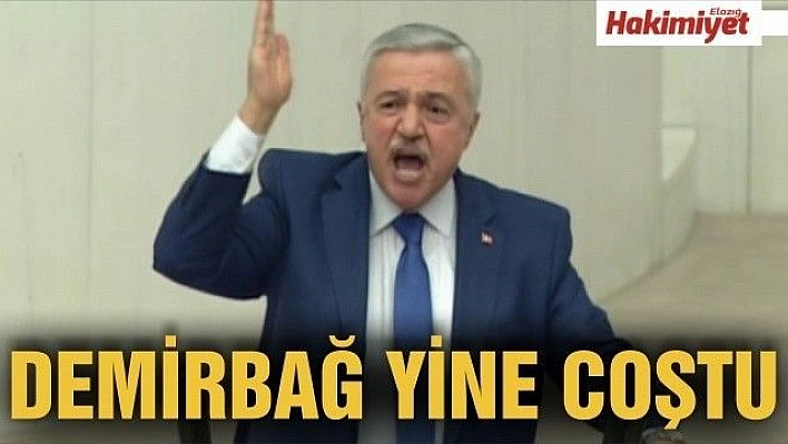 DEMİRBAĞ YİNE COŞTU…